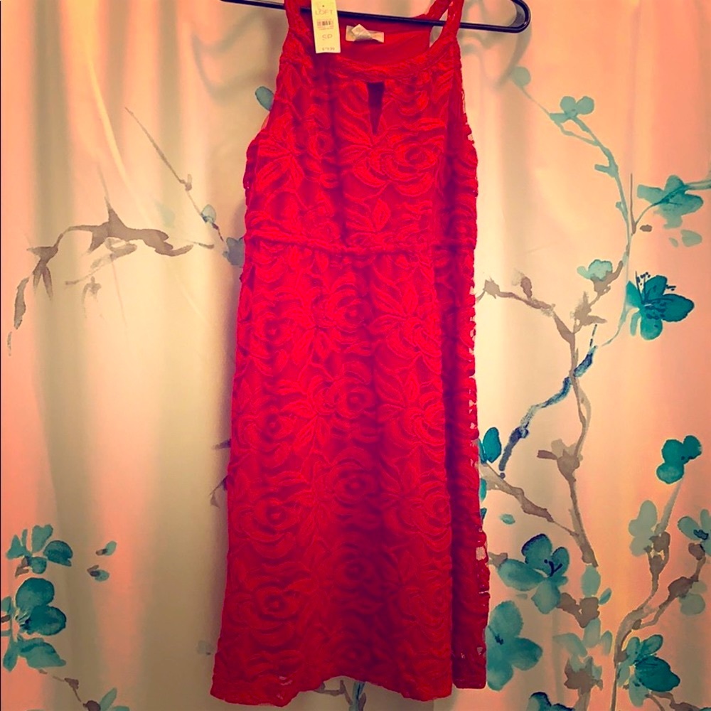 NWT 💕 Loft Red Lace dress